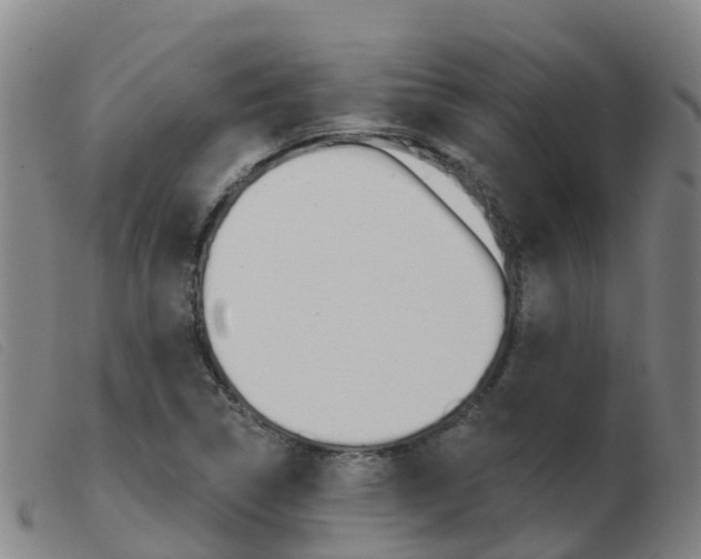 X0000103951314200809191202