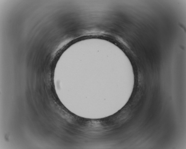 X0000103951315200809191202