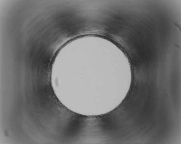 X0000103951316200809191202