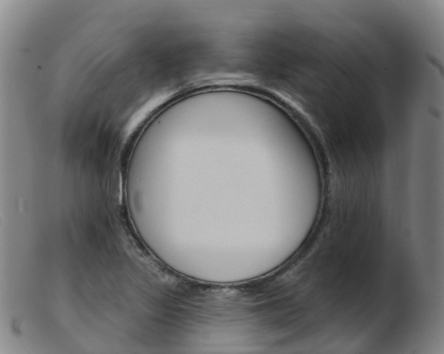 X0000103951317200809191202