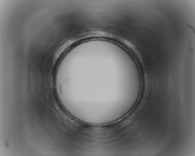 X0000103951318200809191202