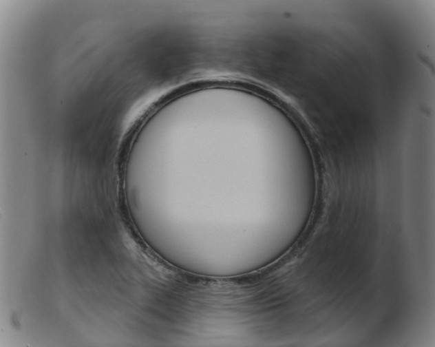 X0000103951319200809191202