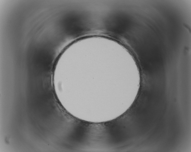 X0000103951320200809191202
