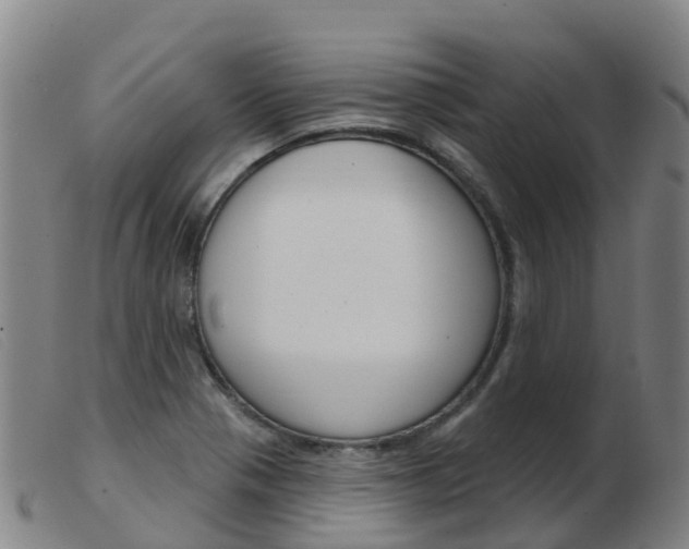 X0000103951321200809191202