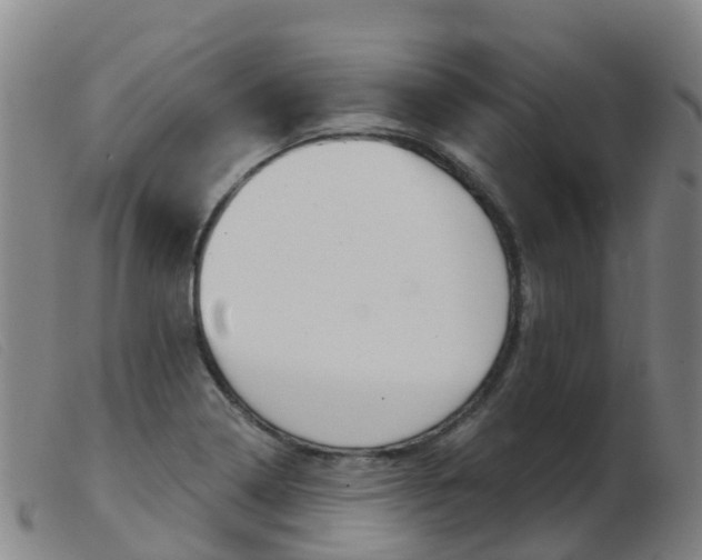 X0000103951322200809191202