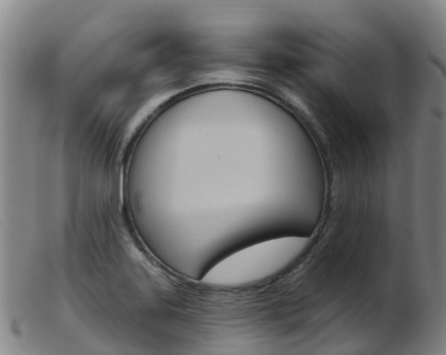 X0000103951323200809191202