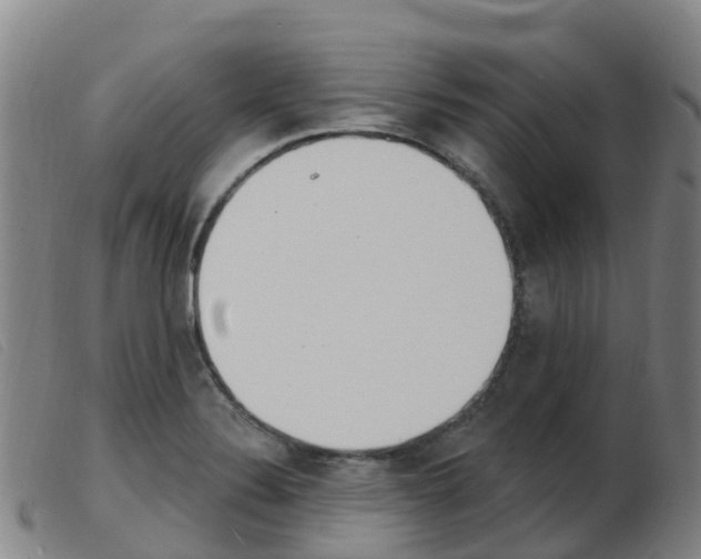 X0000103951324200809191202