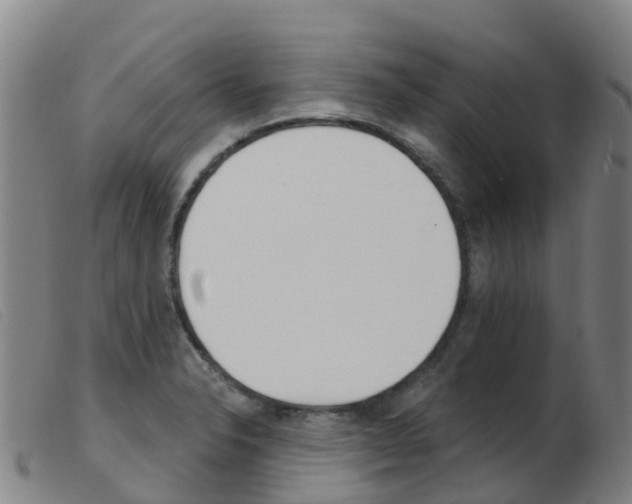X0000103951326200809191202