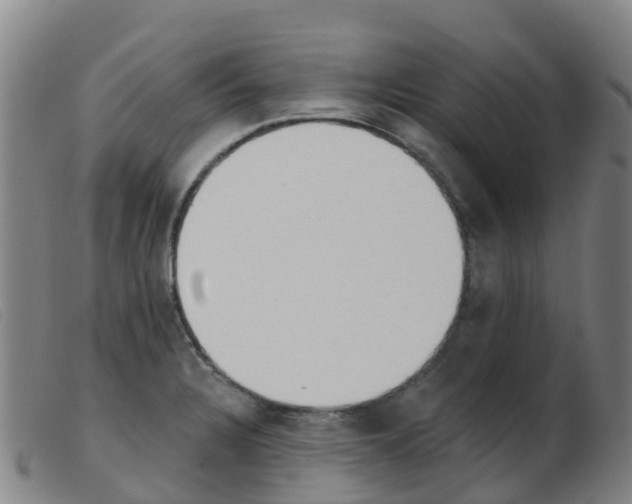 X0000103951328200809191202