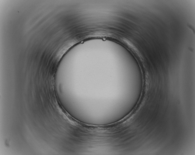 X0000103951329200809191202