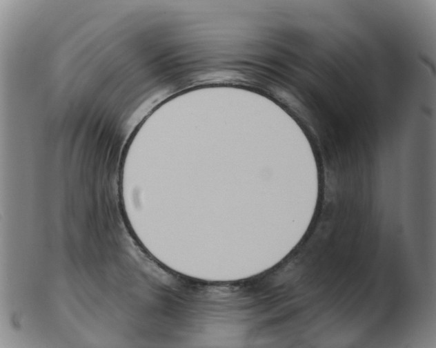X0000103951330200809191202