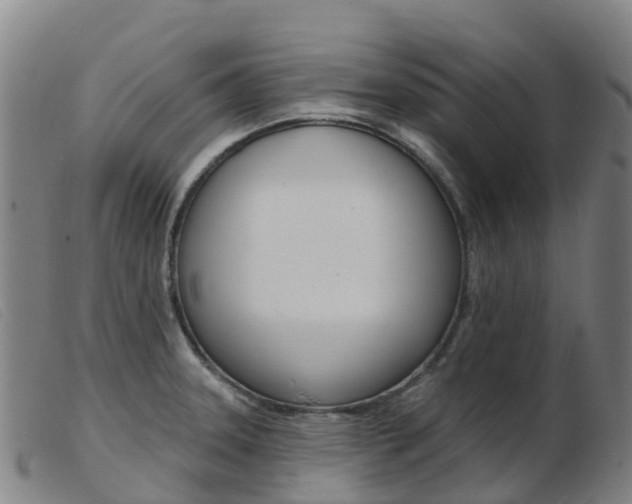 X0000103951331200809191202