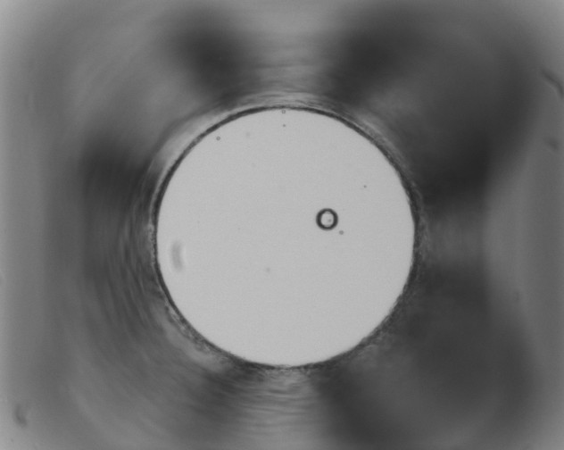 X0000103951332200809191202