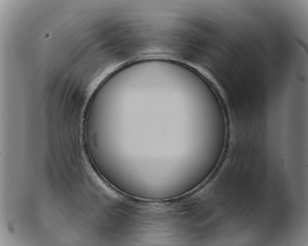 X0000103951333200809191202