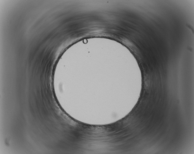 X0000103951334200809191202