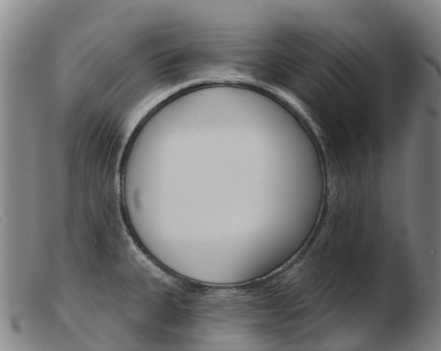 X0000103951335200809191202