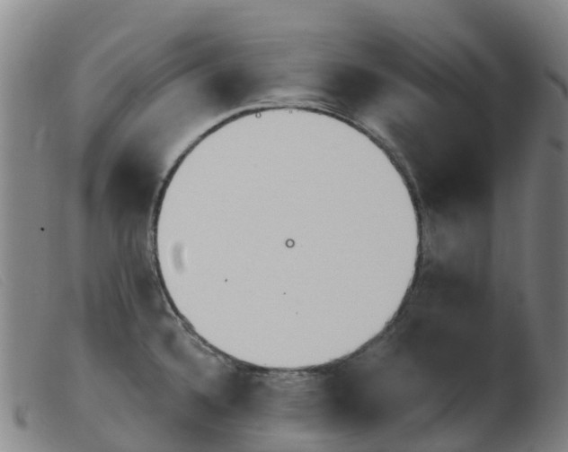 X0000103951336200809191202
