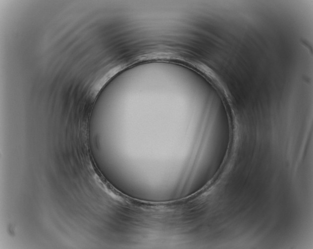 X0000103951337200809191202