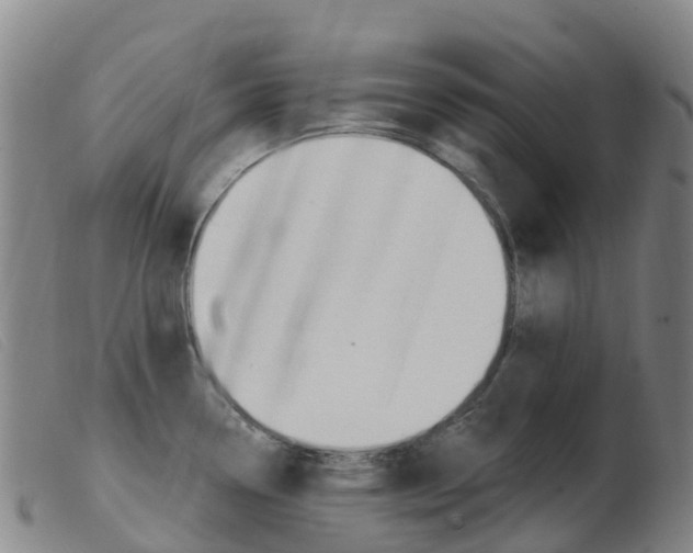 X0000103951338200809191202