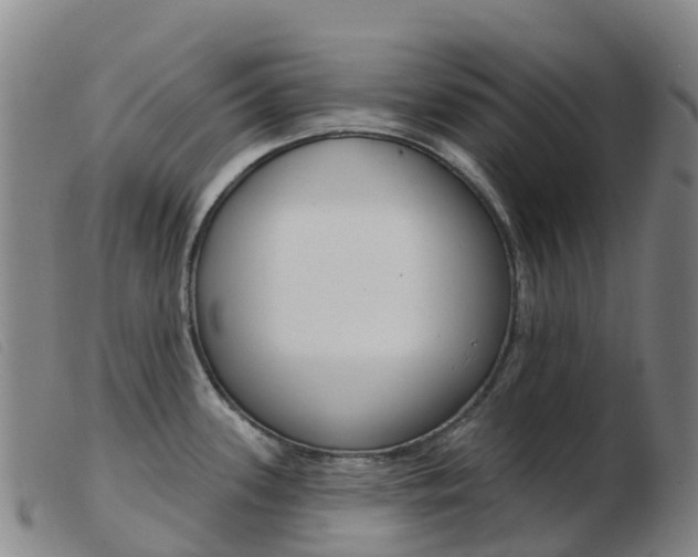 X0000103951339200809191202