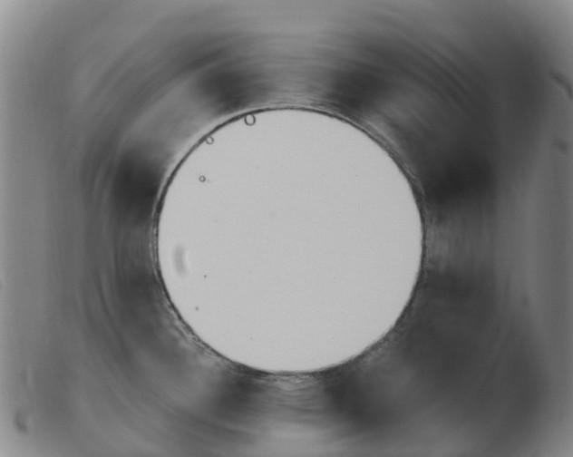 X0000103951340200809191202