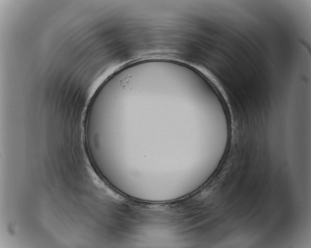 X0000103951341200809191202