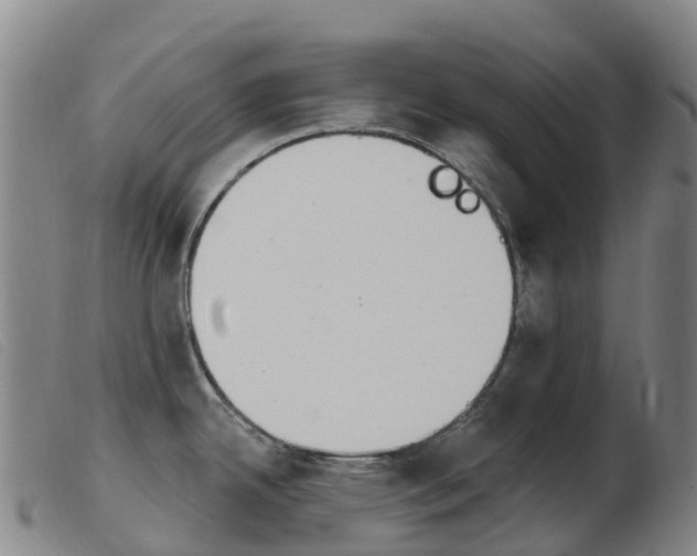 X0000103951342200809191202