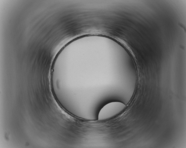 X0000103951343200809191202