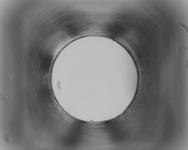 X0000103951344200809191202
