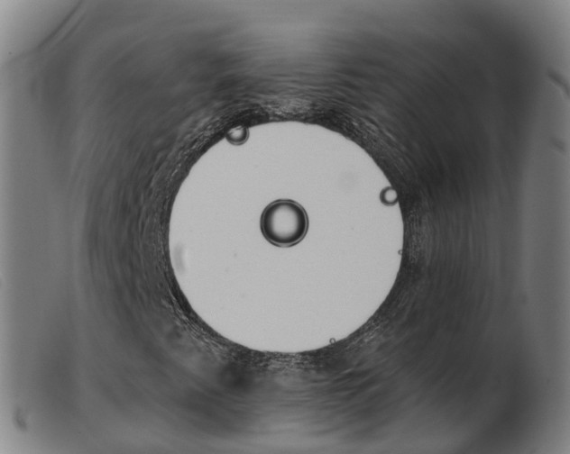X0000103951345200809191201