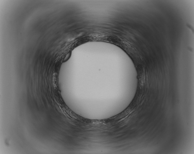 X0000103951346200809191201