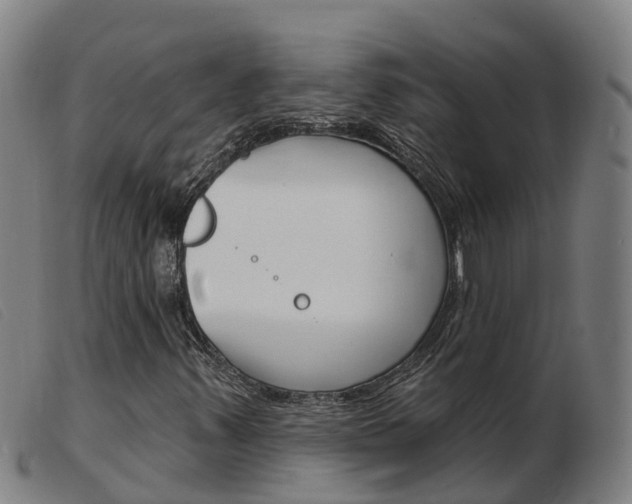 X0000103951347200809191201