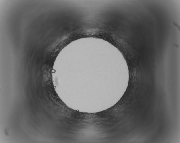 X0000103951349200809191201