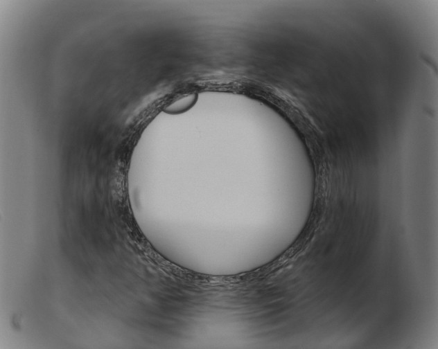 X0000103951350200809191201