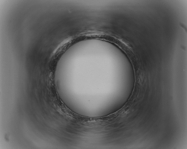 X0000103951351200809191201