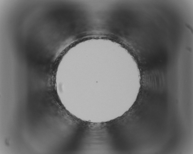 X0000103951352200809191201