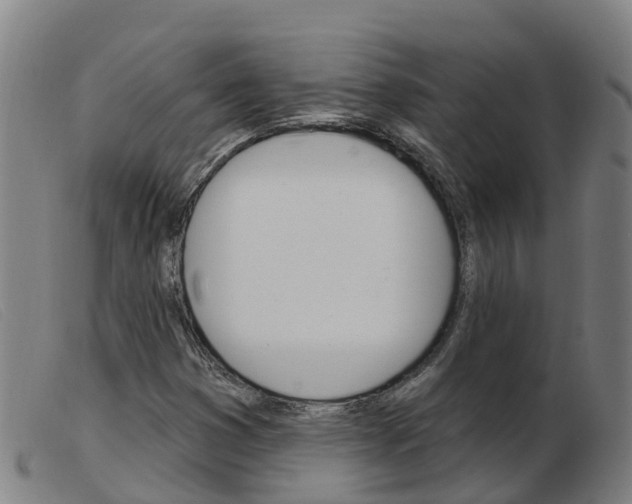 X0000103951353200809191201