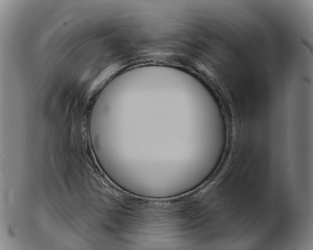 X0000103951354200809191201