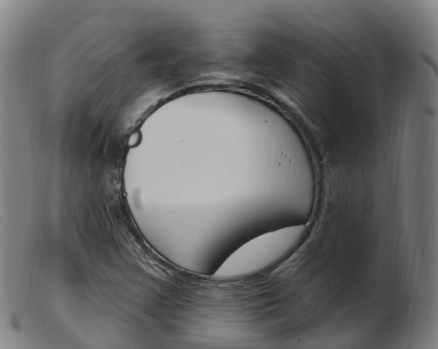X0000103951355200809191201