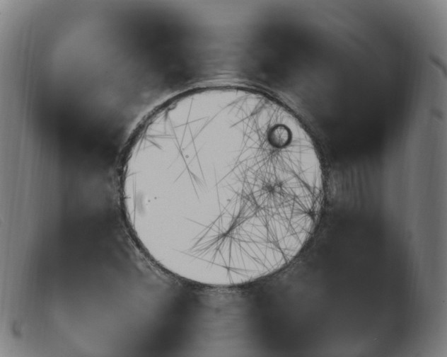 X0000103951356200809191201