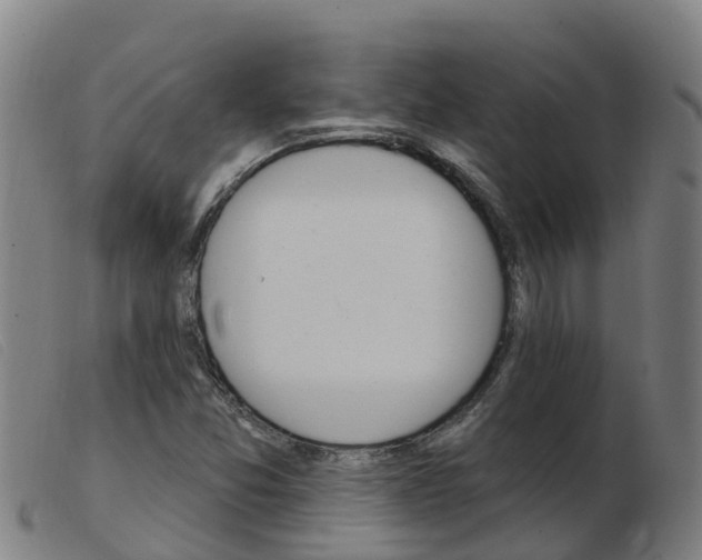X0000103951357200809191201
