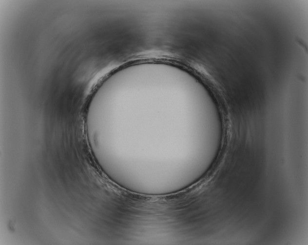 X0000103951358200809191201
