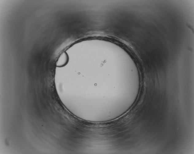 X0000103951359200809191201