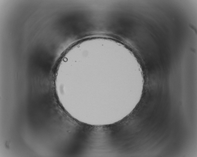 X0000103951360200809191201