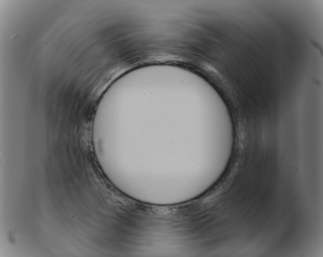 X0000103951361200809191201