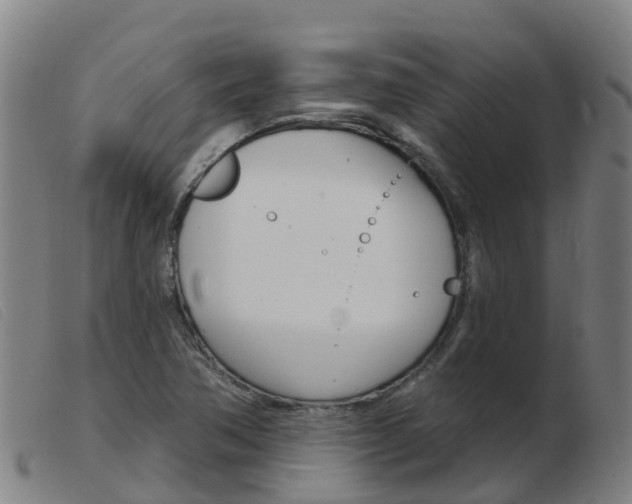 X0000103951362200809191201