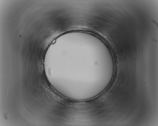 X0000103951363200809191201