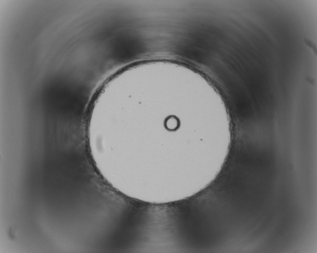 X0000103951364200809191201