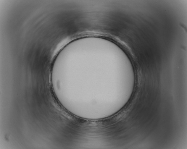 X0000103951365200809191201