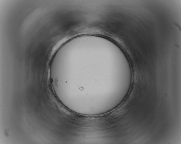 X0000103951366200809191201